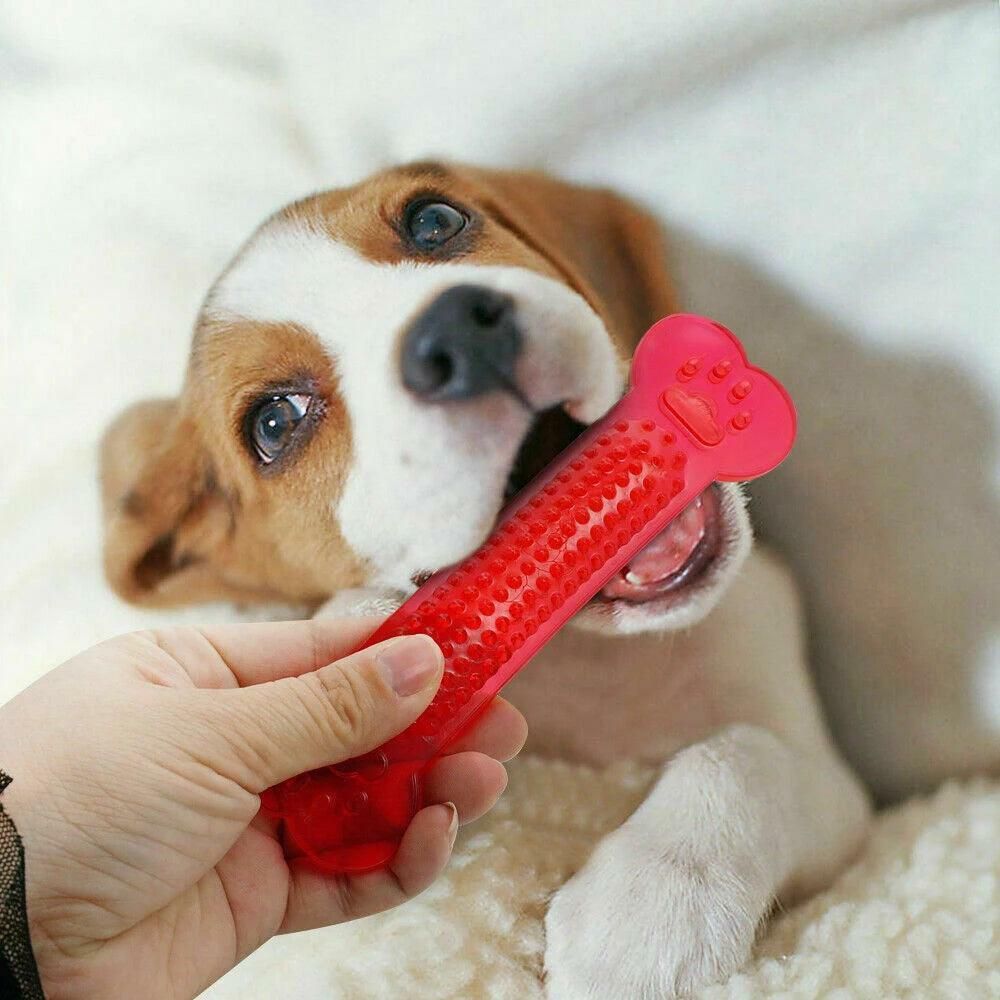 Silicone Squeaky Toy for Pet (Multicolor)