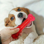 Silicone Squeaky Toy for Pet (Multicolor)