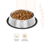 Stainless Steel Feeding Bowl for Pet (Multicolor, 1200 ml)