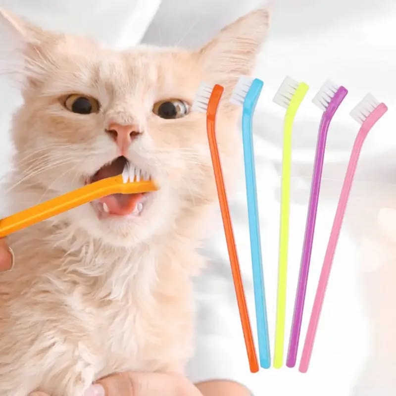 Dental Hygiene Kit for Pet (Multicolor, Set of 3)